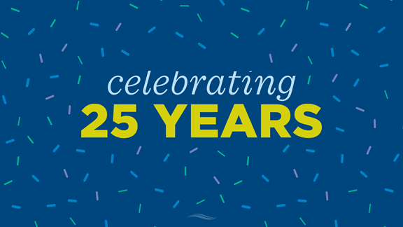 25th-company-anniversary