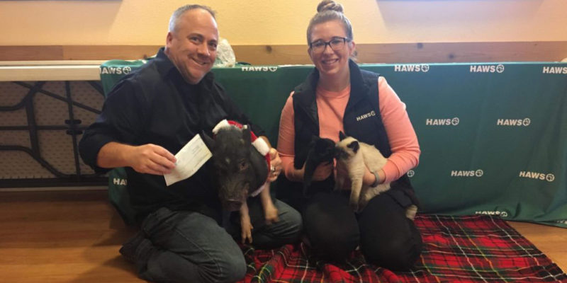 donation-1024x768-1-800x400