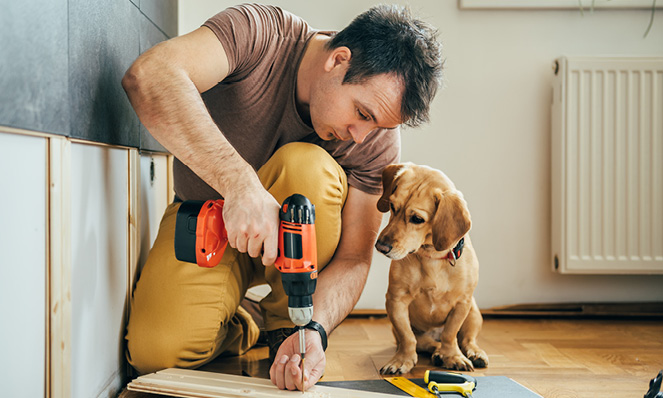 man-drilling-board-young-ran-dog-home-improvements