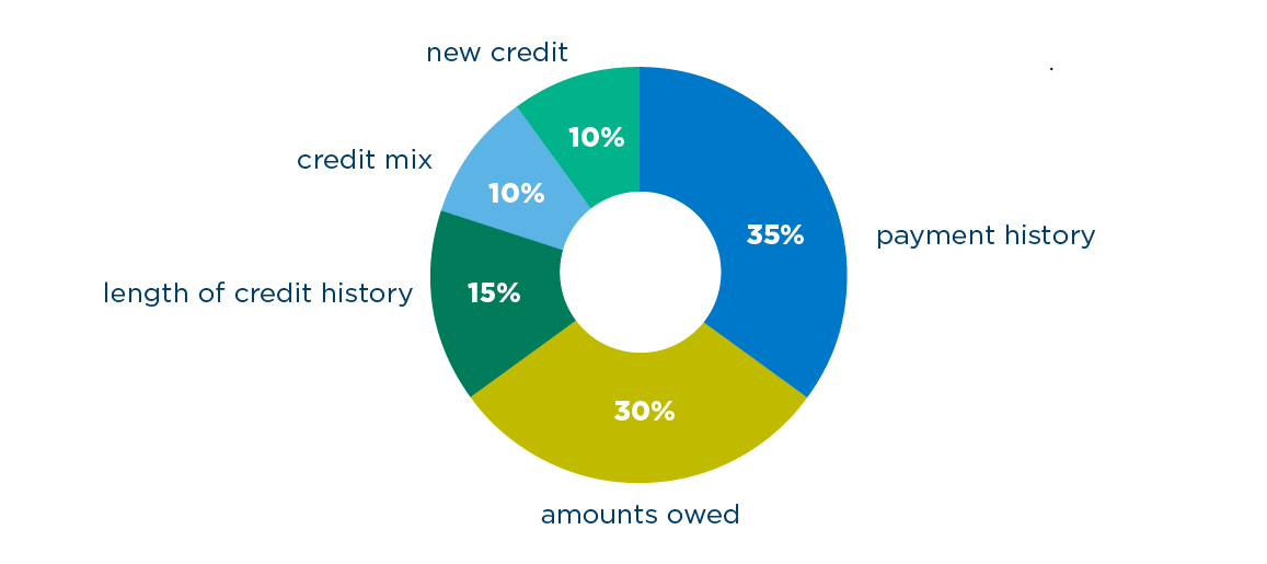 credit-score-break-pie-chart